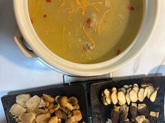 -蘑统田下·野生菌火锅