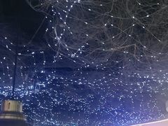 -徐记小怪兽肉蟹煲(中央大街店)