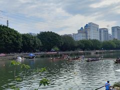 -光明港公园