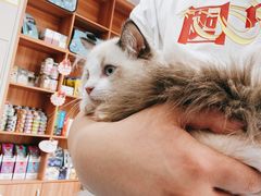 -创凡宠物医院·骨专科  猫科中心(西乡分院)