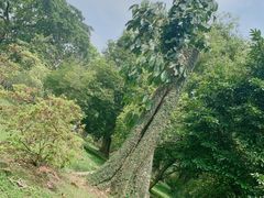 -华南国家植物园-售票处