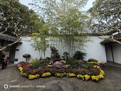 -上海醉白池公园