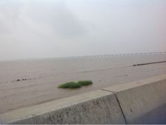 upload_pic-南汇嘴观海公园