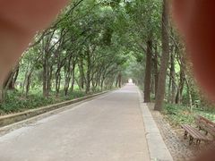 -灵谷景区