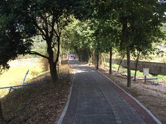 -红山村