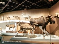 -陕西自然博物馆