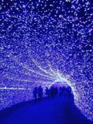 -绿野星空儿童乐园