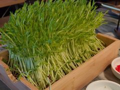 -大头椰·椰子鸡火锅(南宁万象城店)