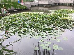 -文瀛公园