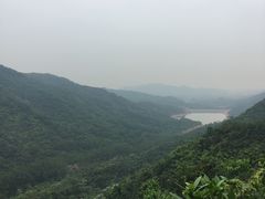 -田心森林公园