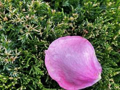 -青岛德国监狱旧址博物馆