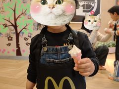 -麦当劳(虹桥南丰城店)