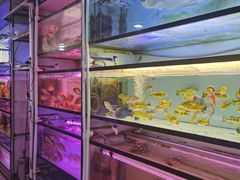 -华声天桥民俗文化园