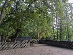 -T80科技文化国际社区-停车场