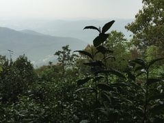 -雨花胜境