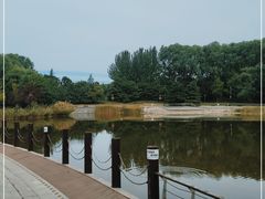 -大望京公园