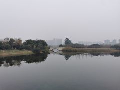 -眉山湿地公园(东坡区)