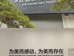 -罗红摄影艺术馆