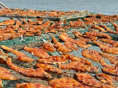 -东钱湖小普陀景区