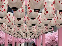 -金茂览秀城