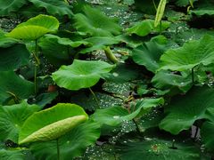 -东钱湖旅游度假区