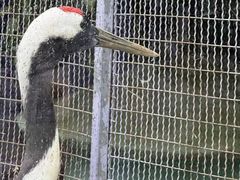 -无锡动物园·太湖欢乐园