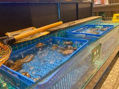 -锦园春香港茶餐厅(西海湾旗舰店)