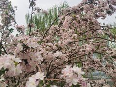 -元大都城垣遗址公园