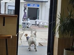 -小意思咖啡店(草桥店)