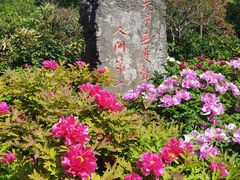 -洛阳市牡丹公园