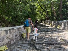 -阳台山自然风景区