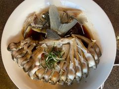 -几荷·恰似故人来(秀水广场店)