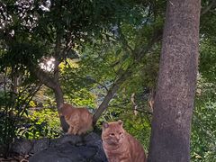 -吴山景区