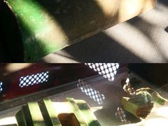 -贤良祠