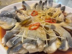 -煲来饱去冷水鱼