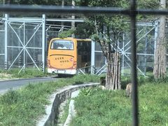 -横道河子东北虎林园