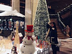 -西安赛瑞喜来登大酒店