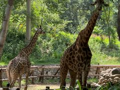 -北京野生动物园