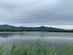 -野鸭湖国家湿地公园