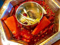 -蜀九香火锅(九眼桥店)