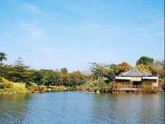 -海珠湖公园