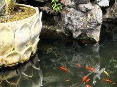 -上海醉白池公园