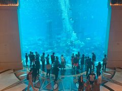 -亚特兰蒂斯水世界冒险乐园