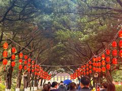 -南岳衡山风景名胜区-南岳大庙