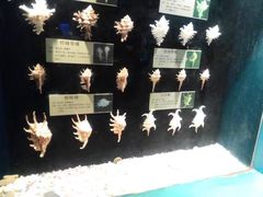 -大连圣亚海洋世界