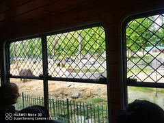 -秦皇岛野生动物园