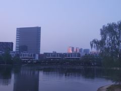 -大兴滨河森林公园