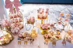 -瑞贝生日派对宝宝宴策划