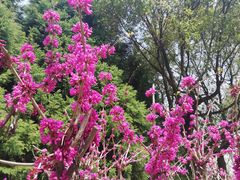 -白塘生态植物园