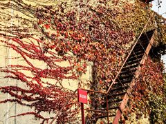 -半岛1919创意园区